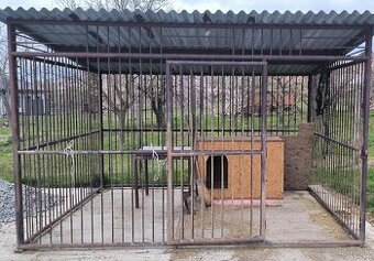 Masívna celokovová voliéra pre psa so strechou – 3x4m