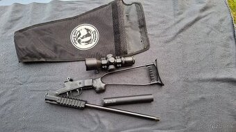 chiappa little badger 17 HMR