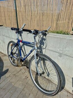 Pansky bicykel Vector