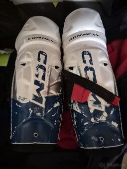 Holene ccm 13