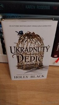Ukradnutý dedič - Holly Black