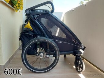 Thule sport 1