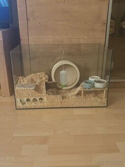Akvarium spolu s celým príslušenstvom a skreckom