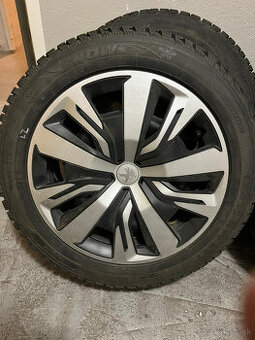 Peugeot, Citroen 195/55 R16 SEBRING SNOW, disk 6,5J x16 ET38