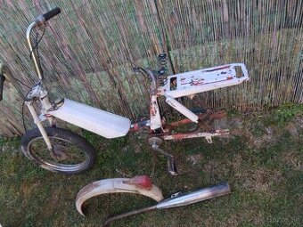 BABETTA 207
