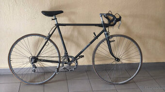 Eska Premier, veľ. 54 s komponentmi Favorit