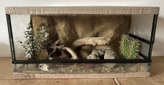Zariadené terárium 50x30x30, 60x30x30 a 70x30x30