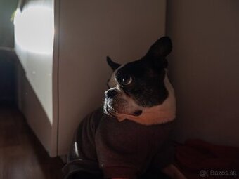 fujifilm gfx 50sii
