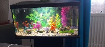 Akvarium