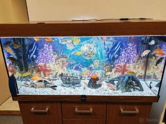 Predám akvárium