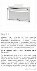 Kawai cn 29 digitálne piano - 1