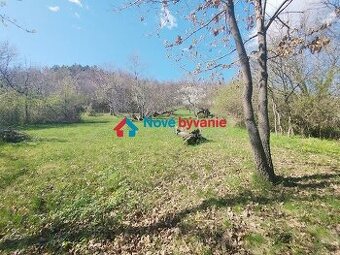 Predaj, rekreačný pozemok - Devičany (N017-14-MAHA)