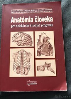 Anatómia človeka