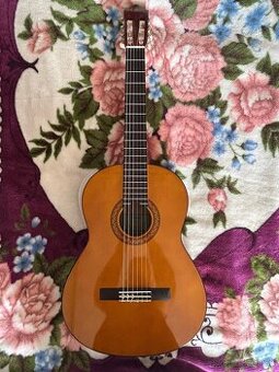 klasická gitara c40
