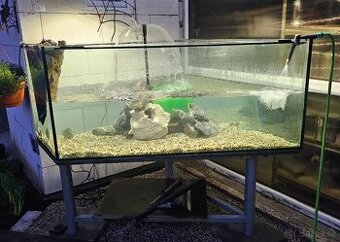 Akvarium