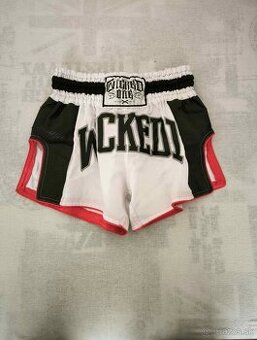 Wicked one - 1