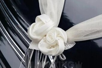 Organza na auto