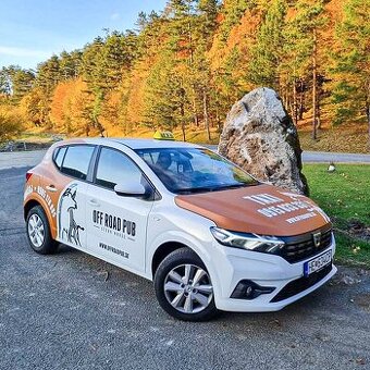 Prijmeme vodiča taxislužby