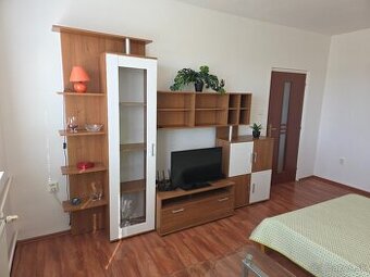 Prenajmem 1 izbový byt