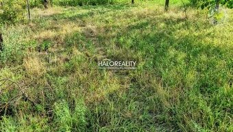 HALO reality - Predaj, pozemok pre rodinný dom 679 m2 Drie