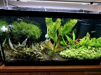 Kompletné akvárium 60L s CO₂ + LED