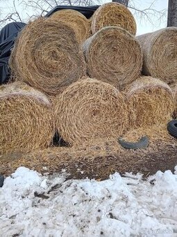 Predám slamu