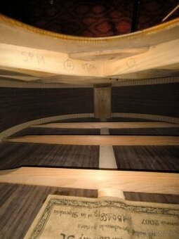 Predam celomasivnu gitaru Dowina Chardonnay+kufor.