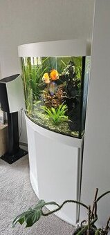 akvarium rohove juwel 350L