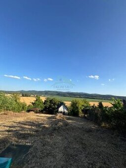 Predám vinicu s chatkou v Šahách – ideálne miesto pre oddych