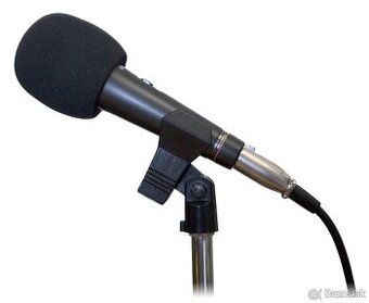 Spevák alebo speváčka