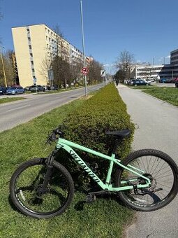 SPECIALIZED Rockhopper Expert