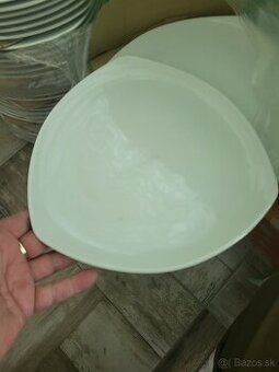 Taniere plytké
