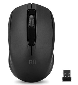 Wireless Mouse RM100+