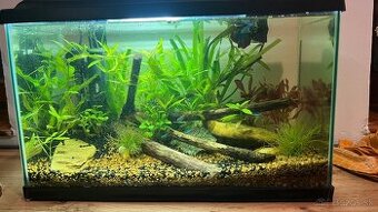 Akvarium cca 30 litrov kompletnee vybavene