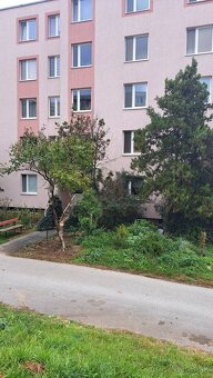 Prenajom 3 izbovy byt v centre mesta. Albér