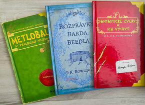 Harry Potter A Fantasticke, Rozpravky Barda Beeda, Metlobal