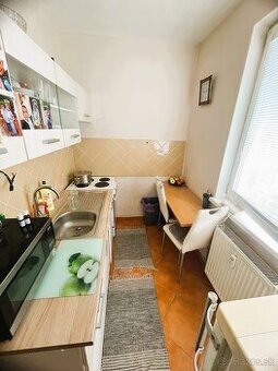 Slnečný 1 izbový byt po rekonštrukcií, ul. Konopná, Levice