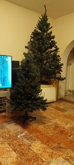 Darujem vianočný 150 cm vysoký stromcek