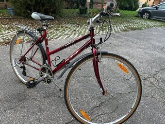 Author bicykel TOP STAV