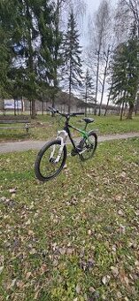 KENZEL SHADE X3 2024