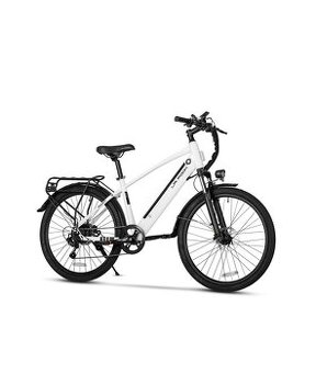 E bike