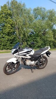 Honda cbf 125