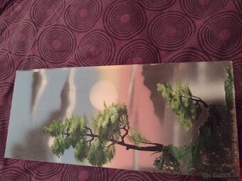 Predám dobrom stave obraz