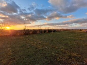 hotel pre psov, vycvik psov