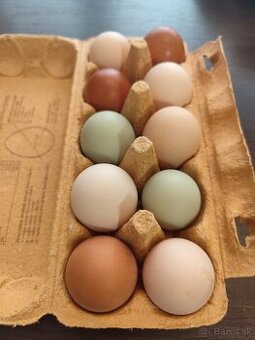Domáce vajíčka