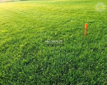 HALO reality - Predaj, rekreačný pozemok Nálepkovo, 760 m2 -