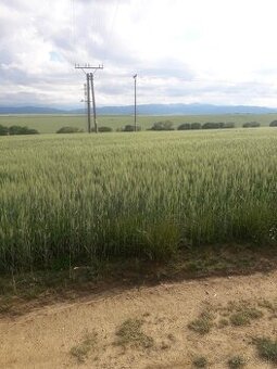 Pozemok Mlynica 85€m2 - 1