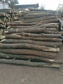 Suché tvrdé palivové drevo a agátové koly, stĺpy.