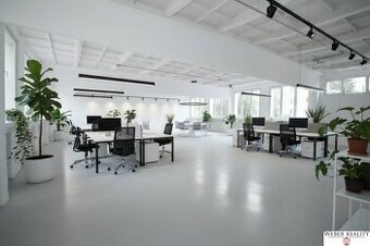 1-podlažná budova v Ružinove (Narcisova ul.) 230 m2, otvoren