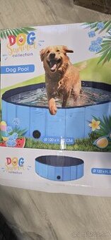 Bazén pre psa - 1